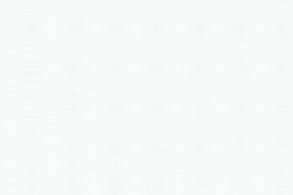 Pair Logo gif